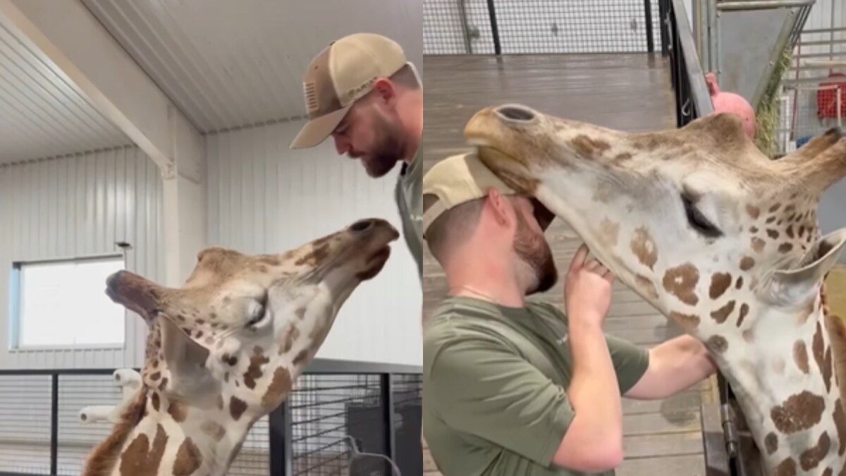 This Video Of A Giraffe Bonding With Vet Is Winning A Million Hearts Online