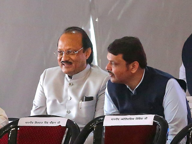 The ruling Mahayuti consists of the Shiv Sena, the BJP and the Ajit Pawar-led NCP. Assembly polls in Maharashtra are due in October. (PTI Photo)