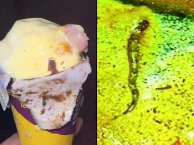 A picture of the meal surfaced on social media wherein what appears to be a tail of something could be seen in the food. (Image/X)