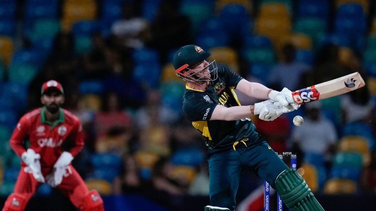 Australia’s David Warner to ‘Keep Playing as Much IPL And Franchise Cricket’ Post-Retirement From International Cricket – News18