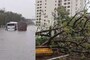Watch: Cars Submerged On Waterlogged Delhi Roads After Overnight Rain, Police Issue Traffic Alert Watch: Cars Submerged On Waterlogged Delhi Roads After Overnight Rain, Police Issue Traffic Alert
