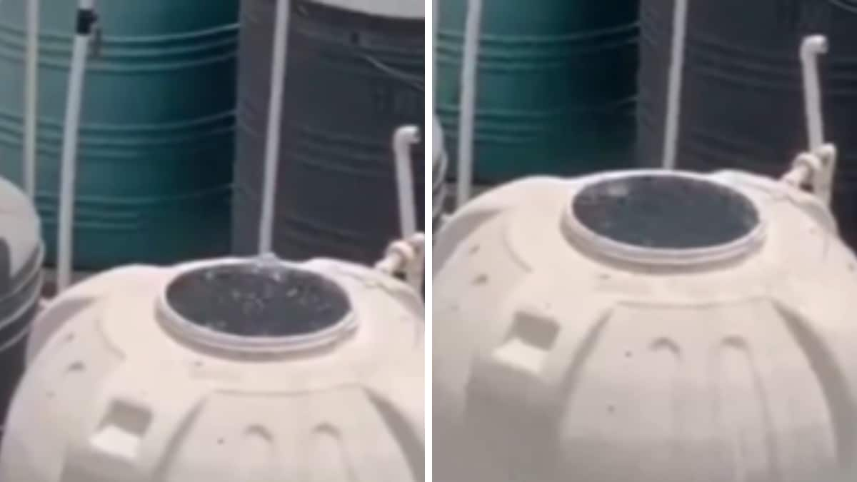 Heatwave Or Supply Malfunction? The Truth Behind Delhi's ‘Boiling Water Tank’ Video