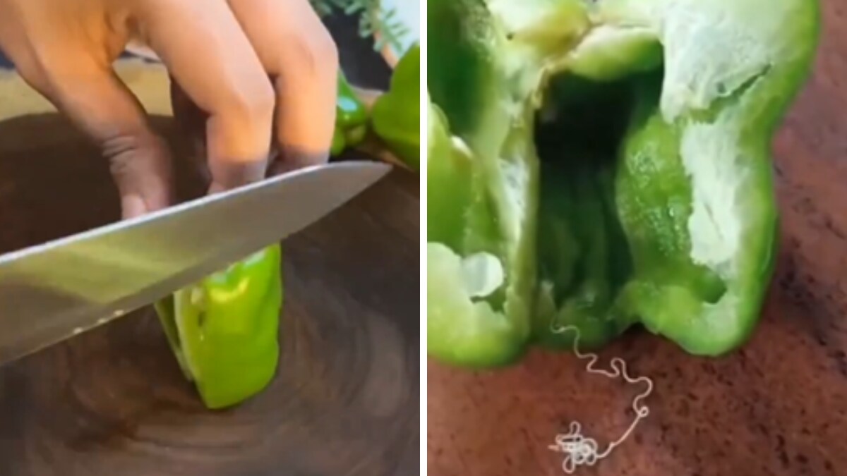 Fact Check: Truth Behind Video Showing 'Worm' Inside Capsicum Revealed