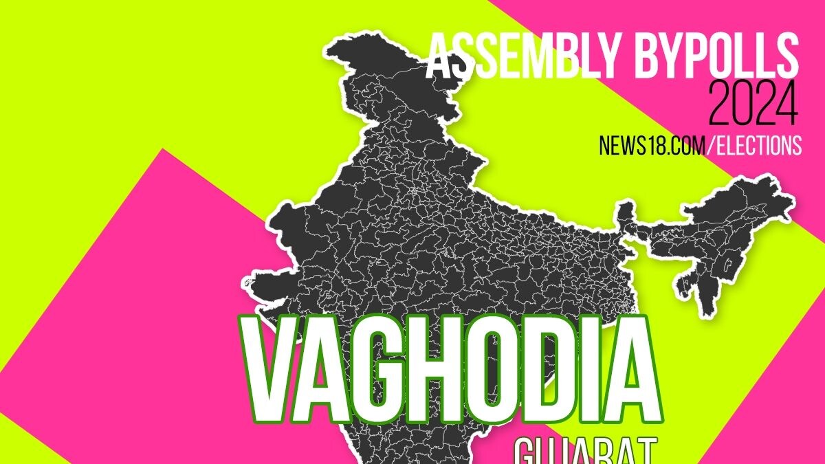 Vaghodia Election Result 2024 Bypoll Live Updates Highlights Leading