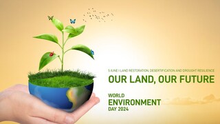 World Environment Day 2024: Theme, History, Significance, and 10 Plant-Based Foods! - Vimarsana News