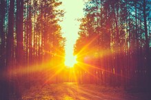 Aaj Ka Panchang, July 7, 2024: Tithi, Vrat, and Today’s Shubh, Ashubh Muhurat