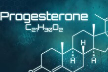 Women Can Boost Progesterone Levels By Adding These Foods In Diet