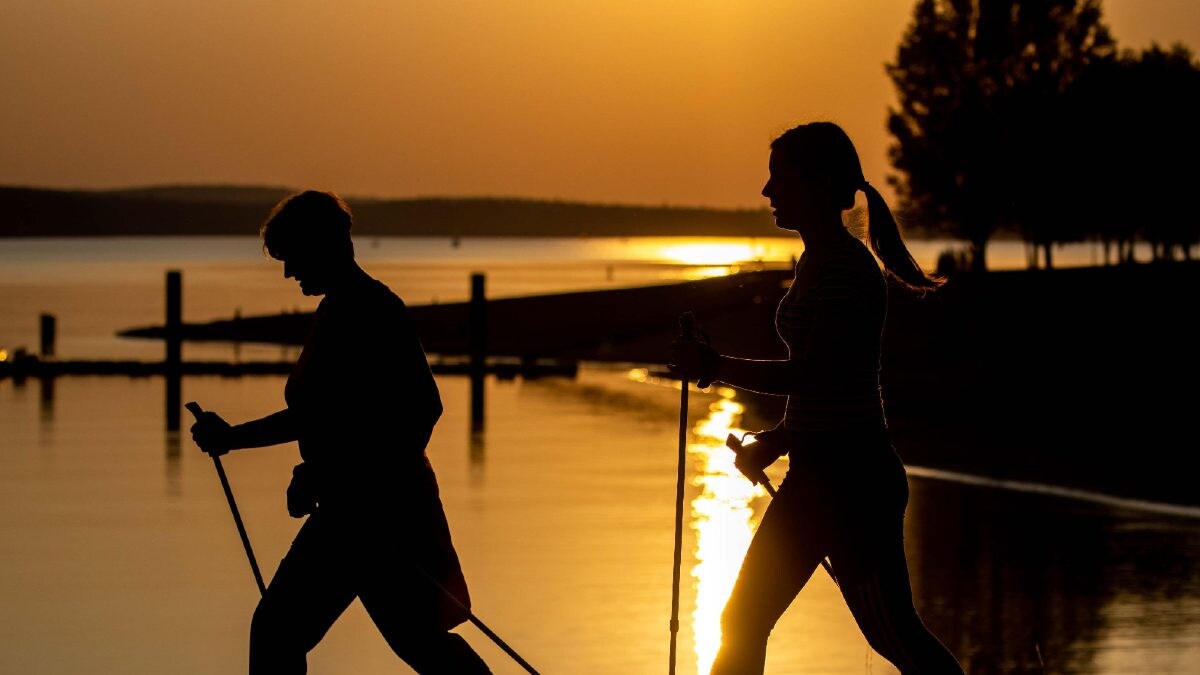 Balancing Work and Fitness: A Professional’s Guide to Walking – News18