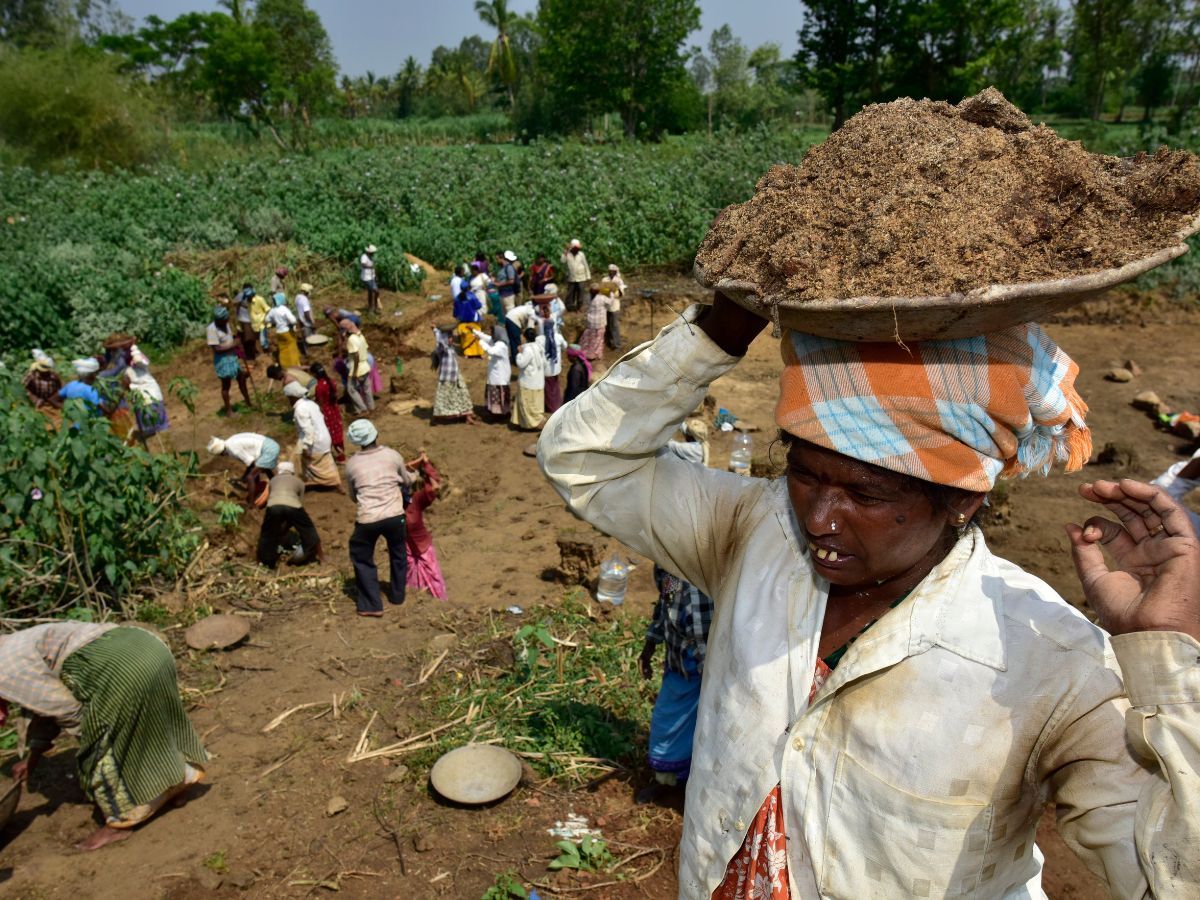 Karnataka: What Does Over 1,000 Farmer Suicides In 15 Months Say About Grim  State? What Should Govt Do? | Explainers News - News18