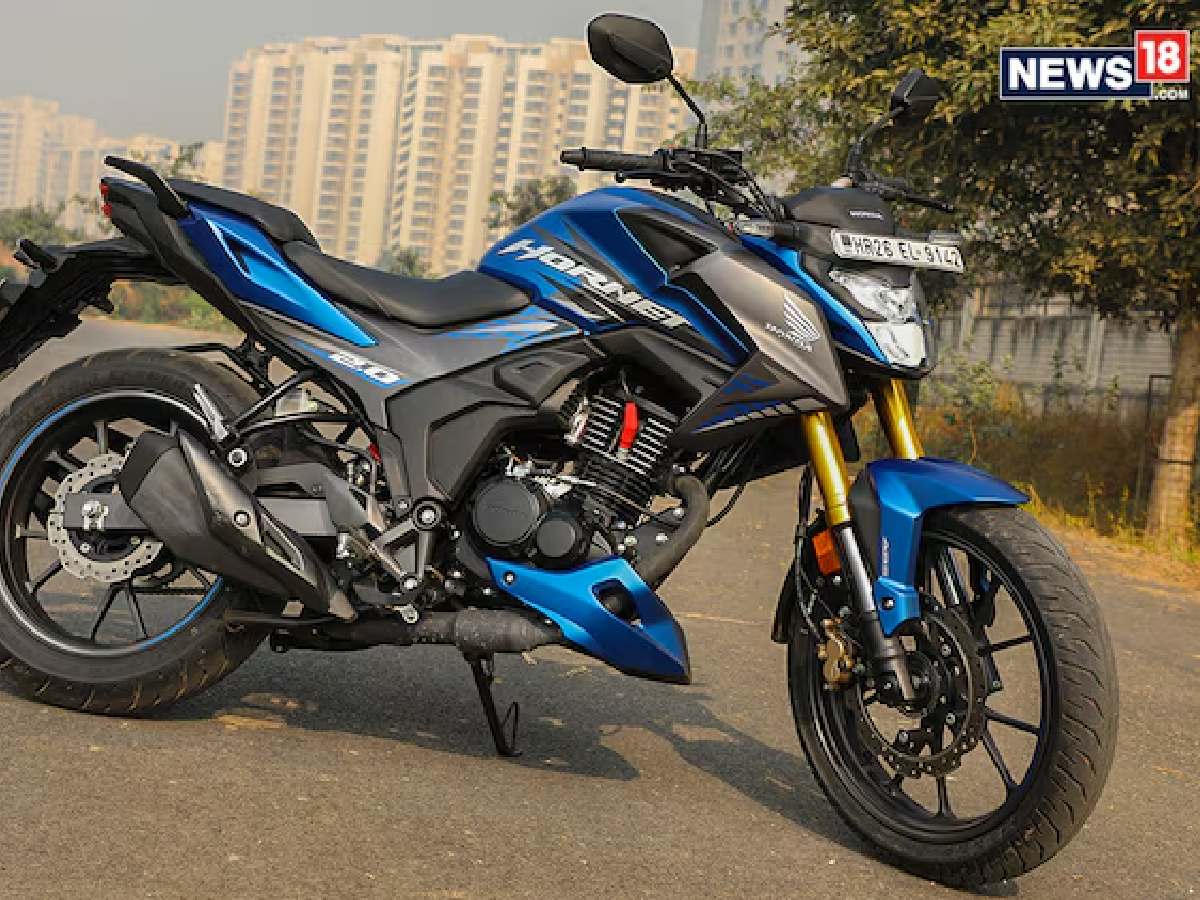 【新品・未使用】 HELD HORNET100 24.5㎝ new-project-1-2-61-2024-07-