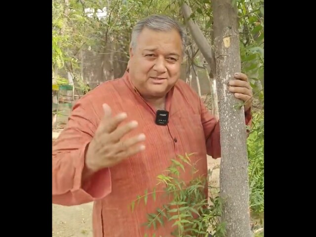 Swami Prem Parivartan's humble act of planting a tree in 1977 sparked a movement, resulting in the planting of over 1 crore trees across 202 districts in 18 states of India. (X/@PeepalBaba)