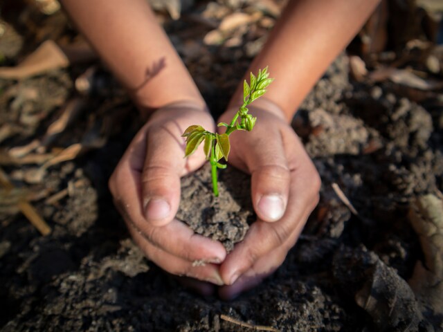 In addition to the work that the government has been doing, it is the responsibility of each of us to care for the Earth – our only home. (Getty Images)