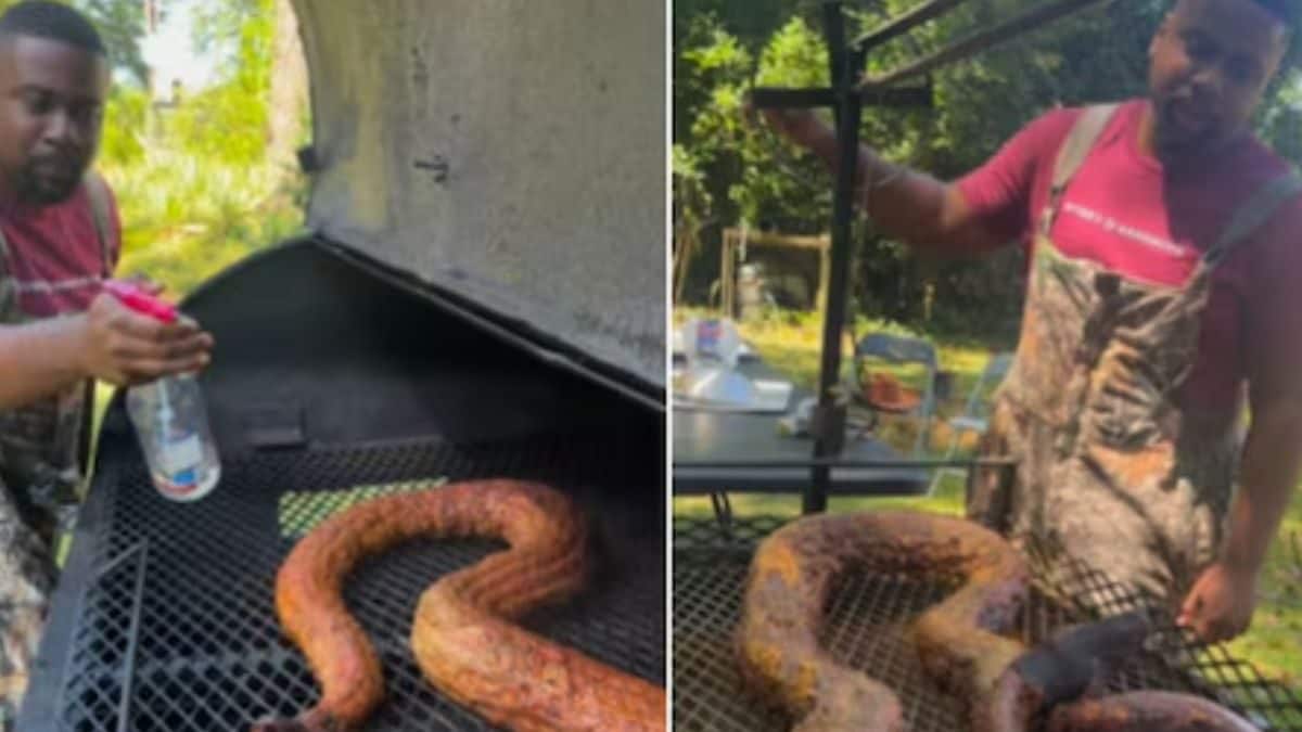 Influencer Faces Backlash For Cooking And Eating 12-foot Python In ...