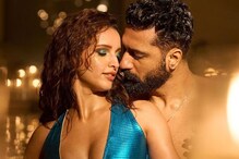 Vicky Kaushal, Triptii Dimri's Kissing Scenes of 27 Seconds DELETED From Bad Newz? Know Here