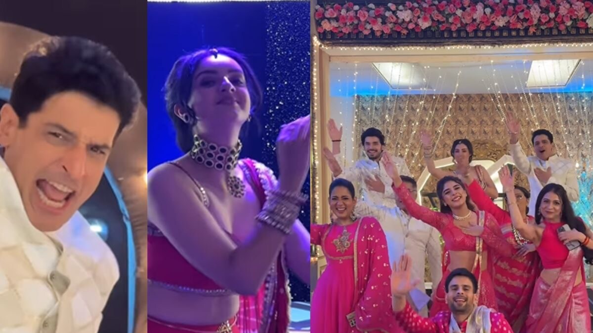 Watch: Kundali Bhagya’s Adrija Roy, Paras Kalnawat Groove To Deewangi Deewangi. Fans Miss Shraddha Arya – News18