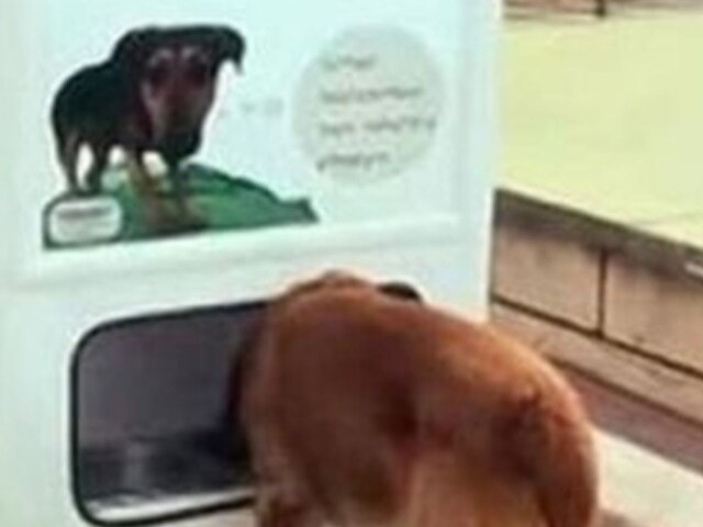 The vending machine tackles two issues, plastic waste recycling and feeding stray animals, at once. (Photo Credit: X)