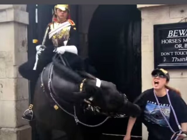 A young lady got bitten by the Royal Guard Horse. 