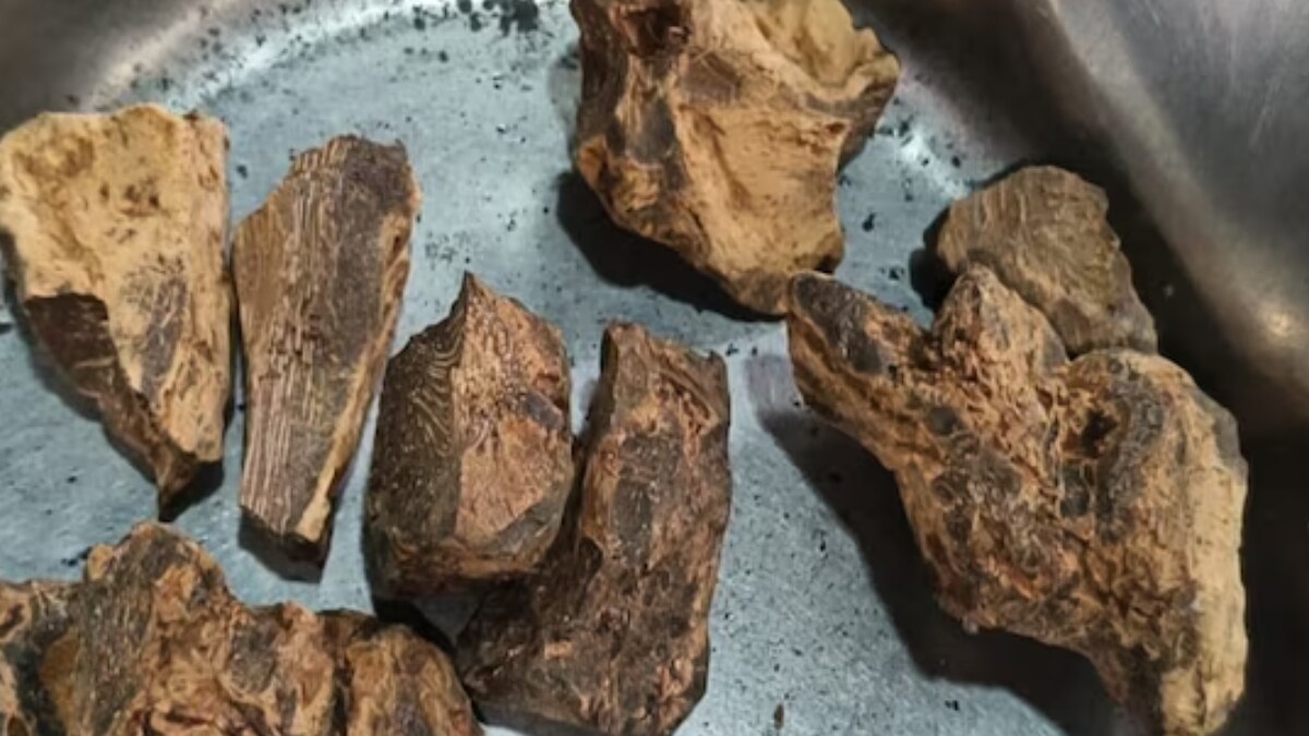 Chopchini Churna: Ancient Ayurvedic Cure For Uric Acid, Arthritis And ...