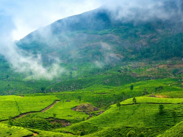 Picture of Belthangady