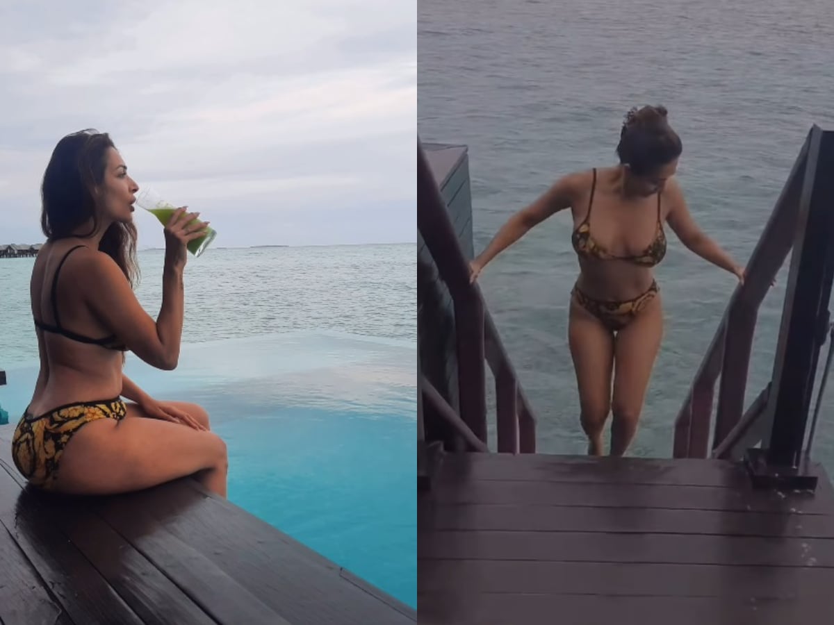 Malaika Arora In Leopard Print Bikini Will Cause Global Warming | Watch  Video | Movies News - News18