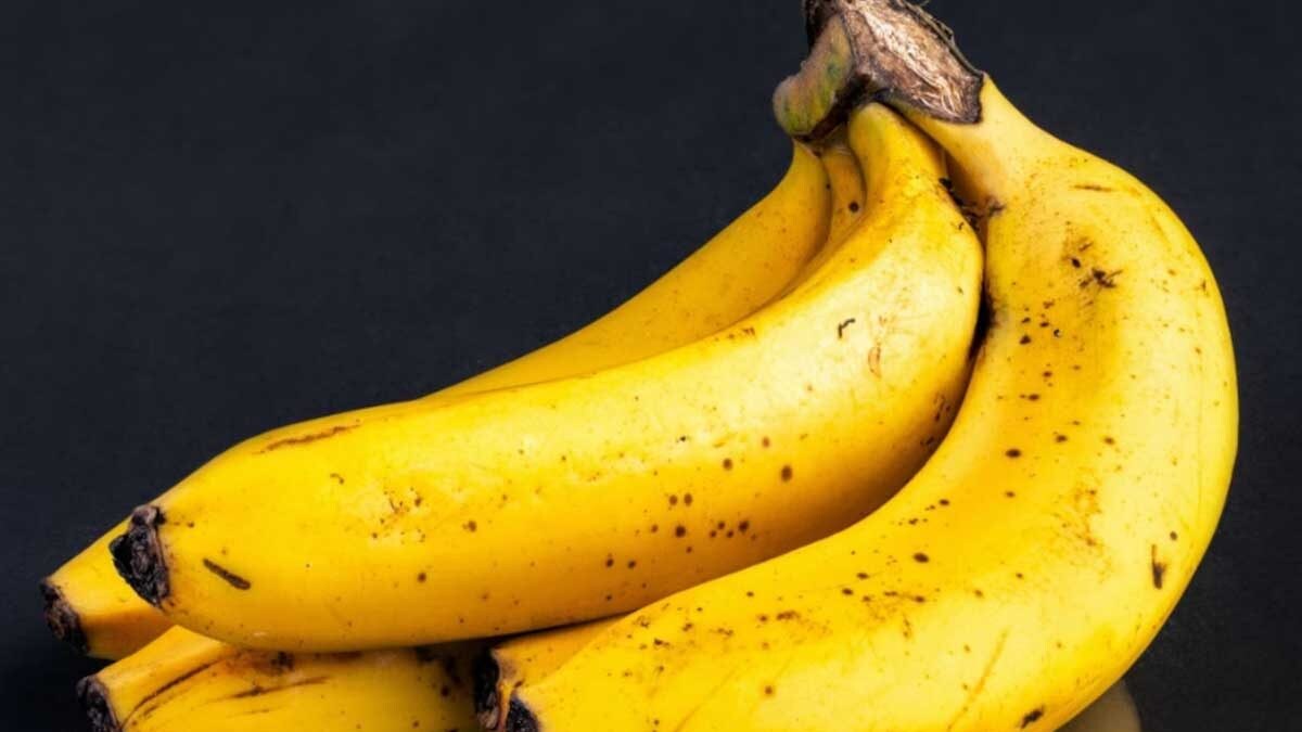 Popular Variety Of Banana On Brink Of Extinction Due To Fungal Threat ...