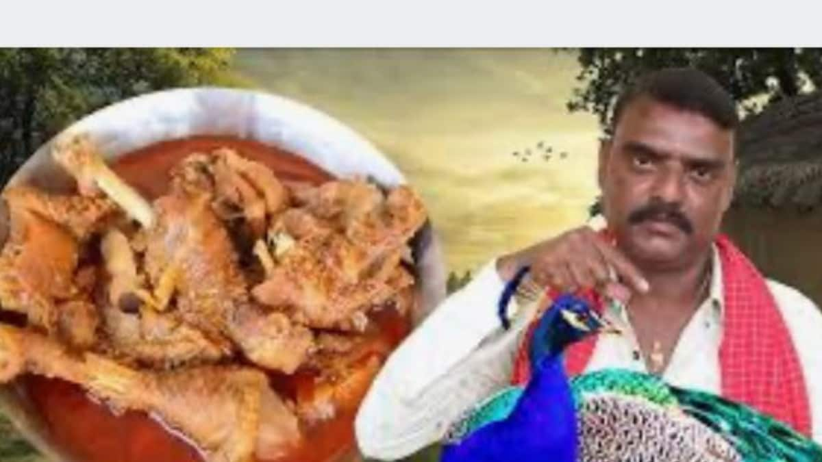 Telangana YouTuber Shoots Video Making ‘Peacock Curry’, Arrested After Massive Backlash