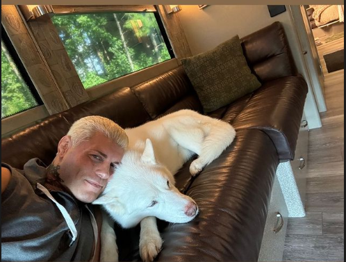 Undisputed WWE Champion Cody Rhodes Takes His 'Most Loyal Friend' On ...