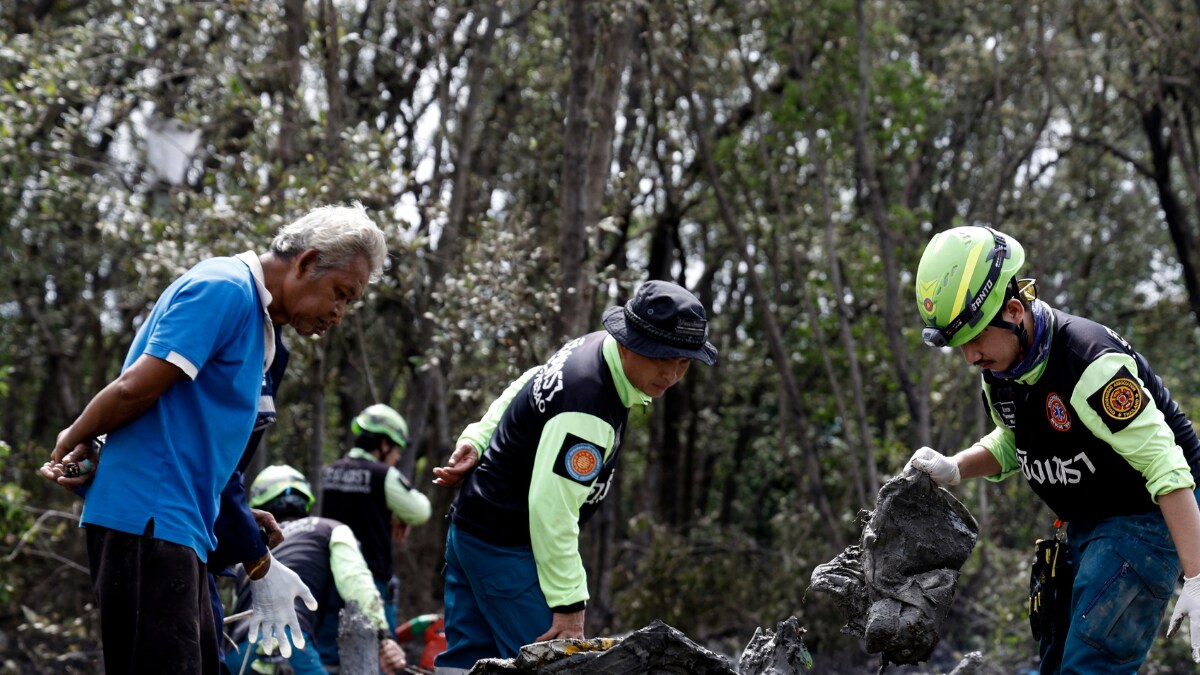 All 9, including 5 Chinese passengers, presumed dead after charter plane crashes in Thai jungle