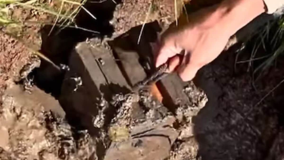 Watch: Man Discovers Gold Coins From Treasure Box Hidden Underground - News18