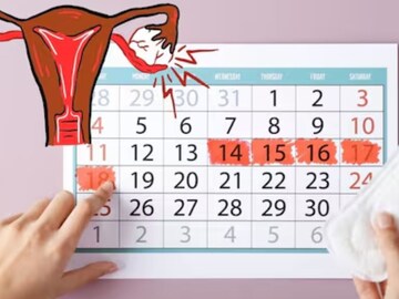 Hormonal fluctuations during menstruation, particularly changes in estrogen and progesterone levels, can influence the digestive system, often leading to increased gas and bloating