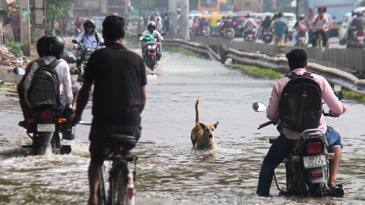 Brace For September Showers: IMD Predicts Above-Normal, Continuous Heavy Spells, Advises ‘Caution’ – News18 Brace For September Showers: IMD Predicts Above-Normal, Continuous Heavy Spells, Advises ‘Caution’ – News18