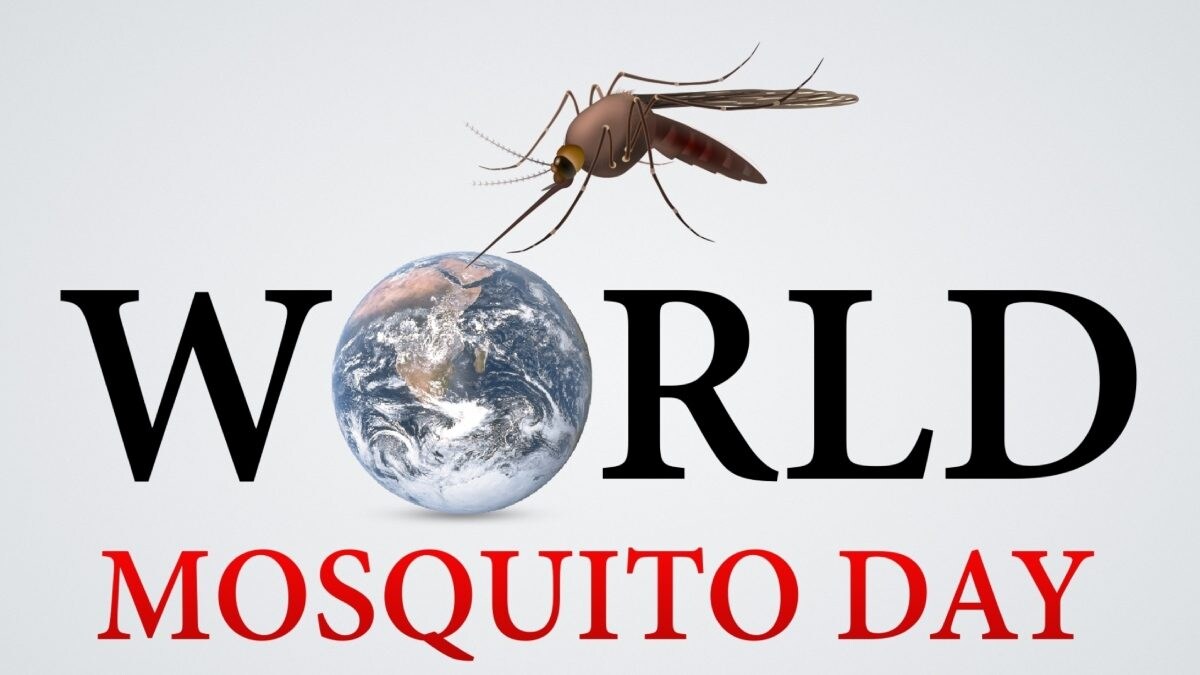 World Mosquito Day 2024 Malaria Symptoms, Treatment, and Prevention