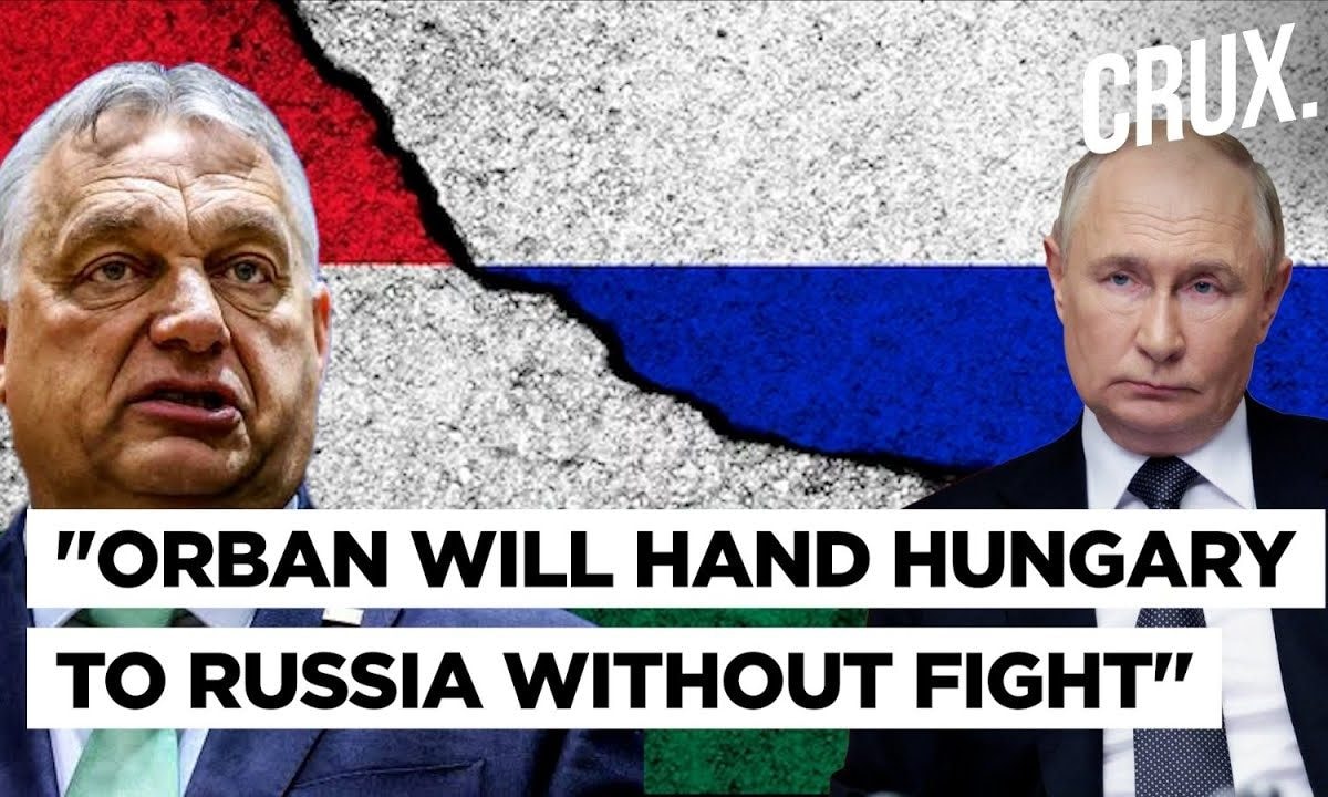 “Can’t Just Throw Away Lives” Orban Aide Slams Zelensky’s “Irresponsible” Decision To Fight Russia – News18