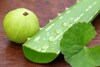 Winter Skincare Essentials: Aloe Vera for Dry Skin