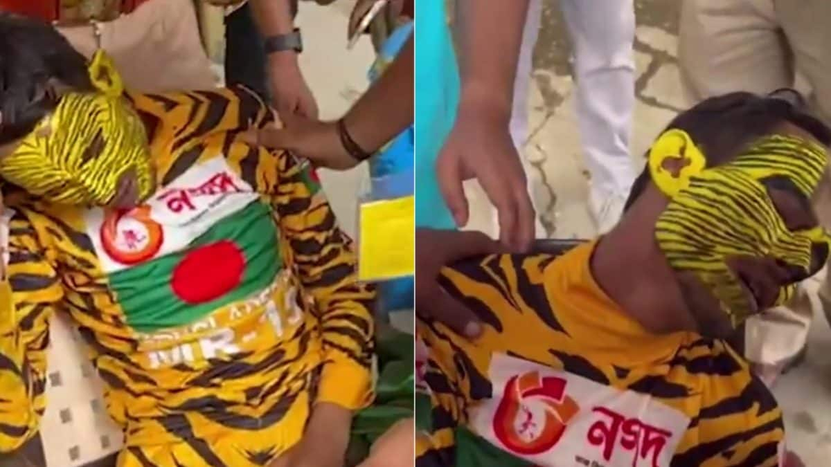 Bangladeshi Fan Tiger Robi Beaten, Heckled at Green Park During IND vs ...