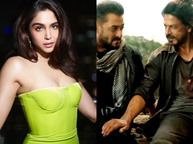 Sharvari Wagh Says 'Shouldering' Alpha is ‘Nerve-Wrecking’: ‘Shah Rukh ...