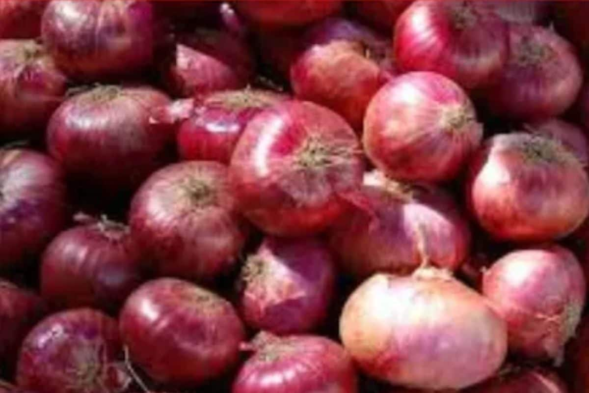 Onion Crisis In Maharashtra: Ajit Pawar Urges Centre To Withdraw 20% Export Duty