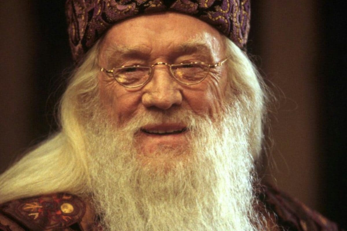 Dumbledore Richard Harris’ Son Doesn’t ‘Understand’ Need For Harry Potter TV Show: 'Leave Them Alone'