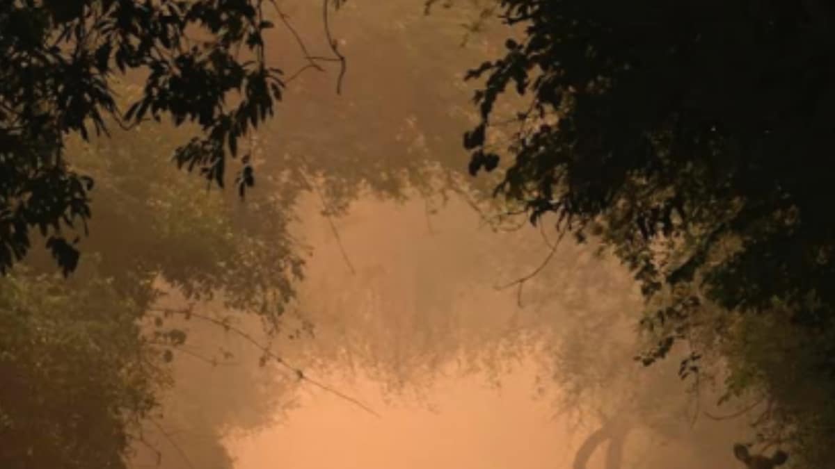 This 9-Year-Old's Morning Stroll Photo Lands Her Wildlife Photographer Of The Year Award