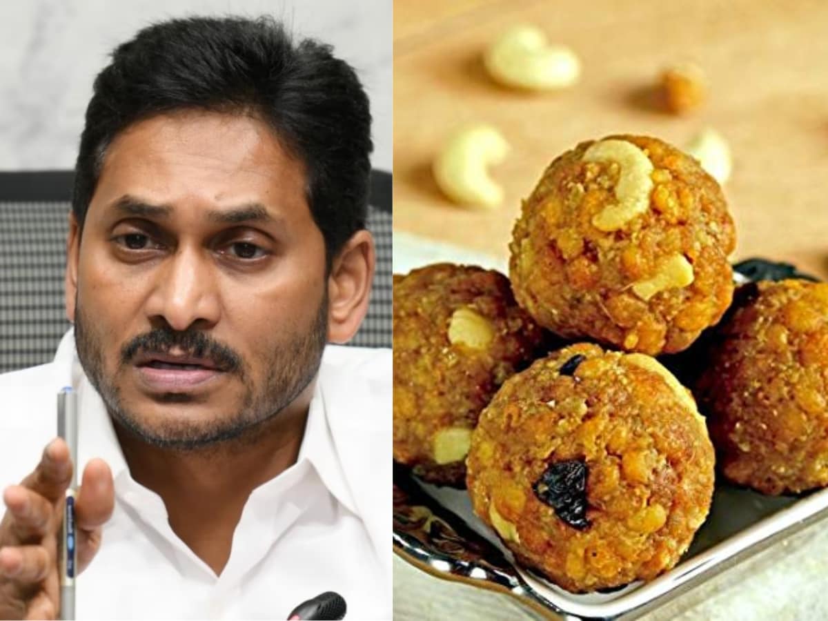 No Violation By My Government': Jagan Reddy Says He'll Write To PM Modi,  CJI In Tirupati Laddoo Row - News18