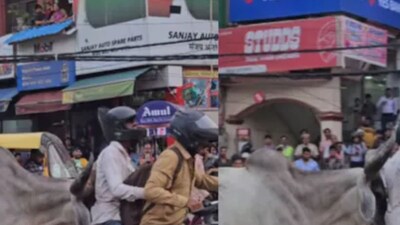 Watch: Bull Pushing Two-wheeler Causes Traffic Snarl On Delhi Road ...