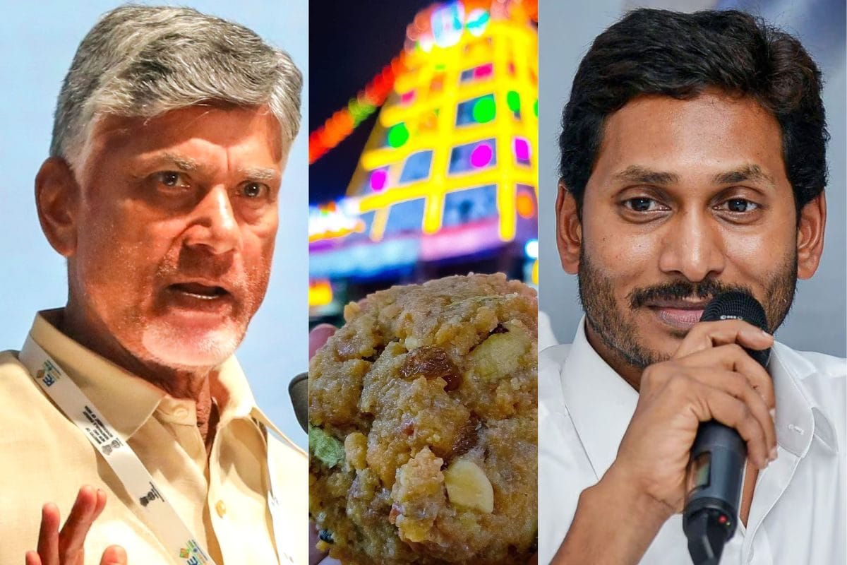 'You’ve No Faith': TDP Vs Jagan Reddy Continues Over Tirupati Laddoo Row