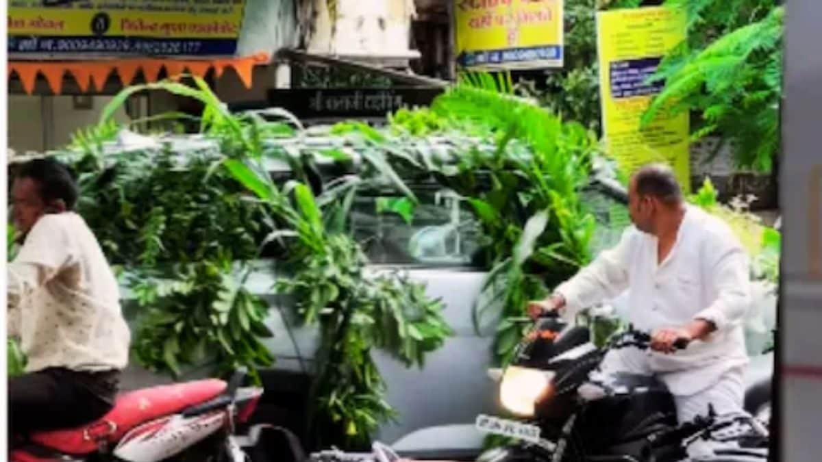 Video of an eco-friendly wedding car full of viral plants