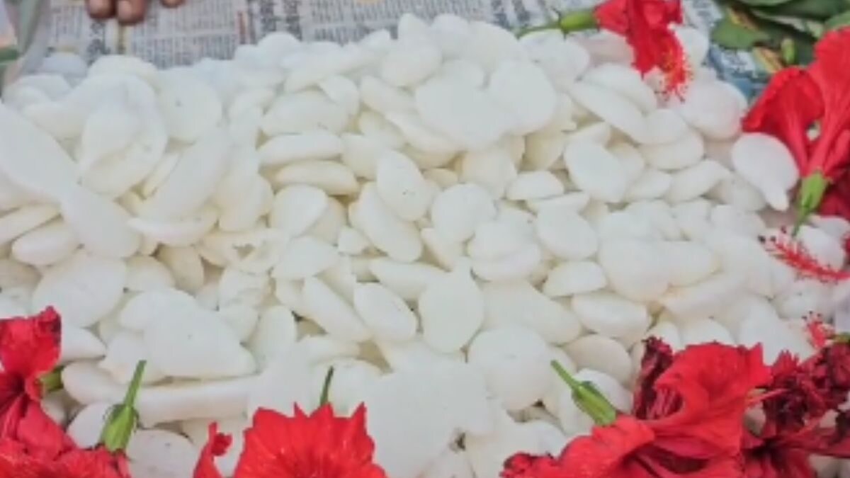 Navratri 2024: This Special Sweet Is Offered To Goddess During Puja In Jharkhand – News18