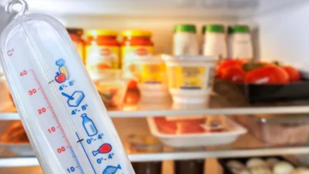 This Is The Right Temperature For Your Refrigerator In Winters – News18