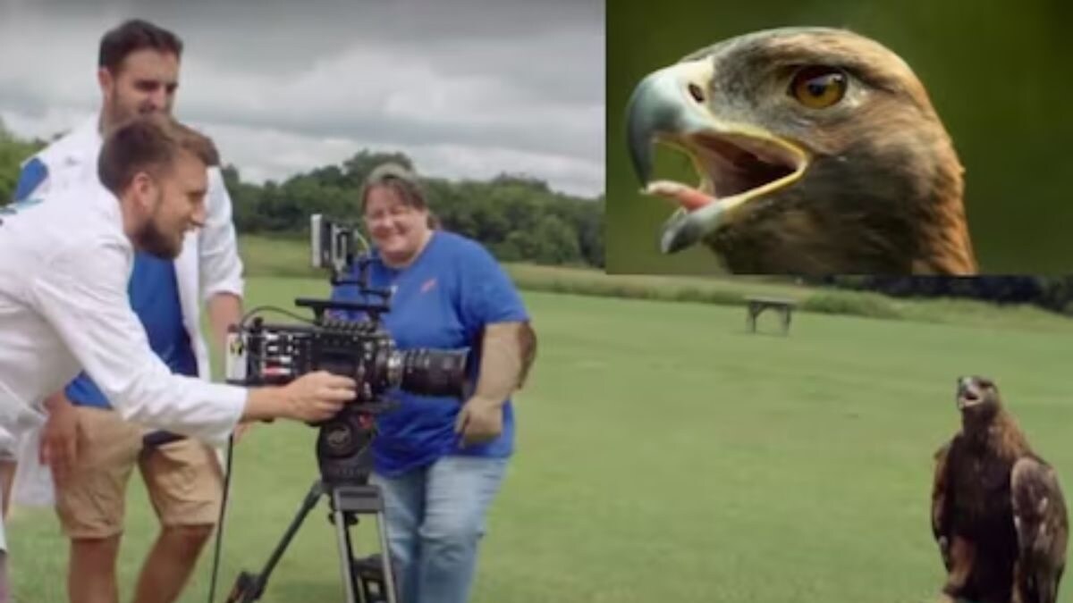 Why Is Lion Called The King Of The Jungle News18