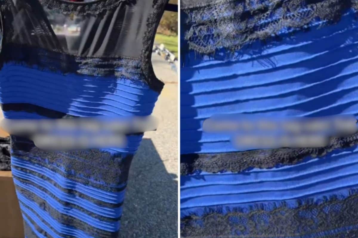 Woman Discovers 'The Dress' At Yard Sale, Reignites Blue-and-Black Vs  White-And-Gold Debate | Viral News - News18