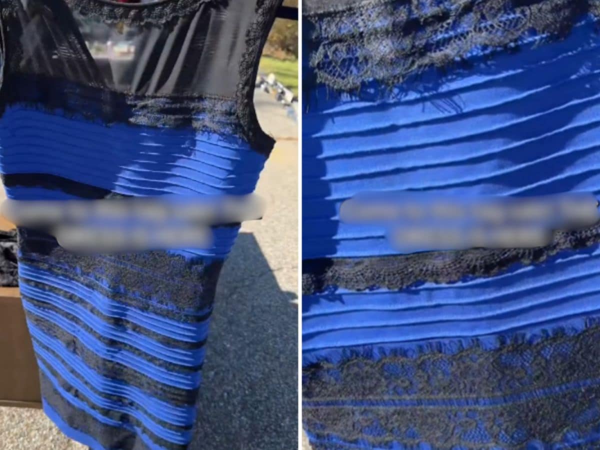 Woman Discovers 'The Dress' At Yard Sale, Reignites Blue-and-Black Vs White-And-Gold  Debate | Viral News