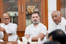 Haryana Loss Has Cut Congress to Size in INDIA Bloc and Allies are Not Mincing Words Haryana Loss Has Cut Congress to Size in INDIA Bloc and Allies are Not Mincing Words