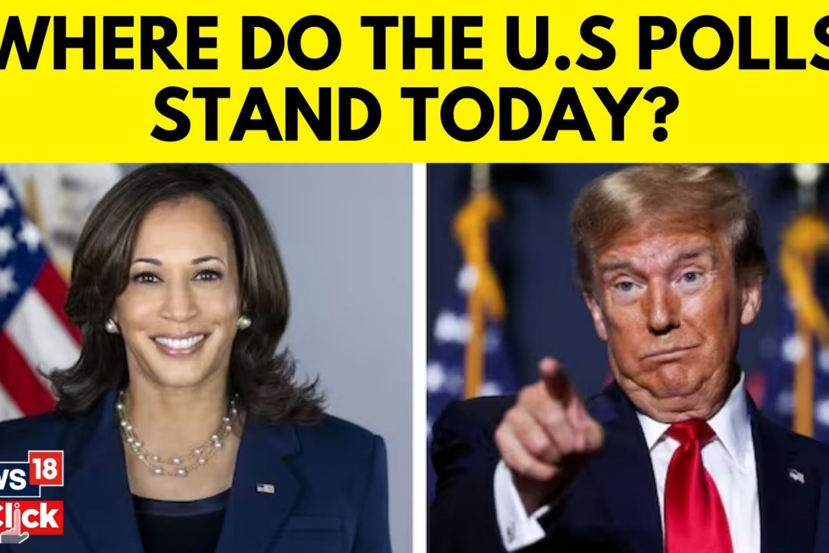 US Election 2024: Who is in the lead? What do the numbers say? Will it be Trump or Harris?